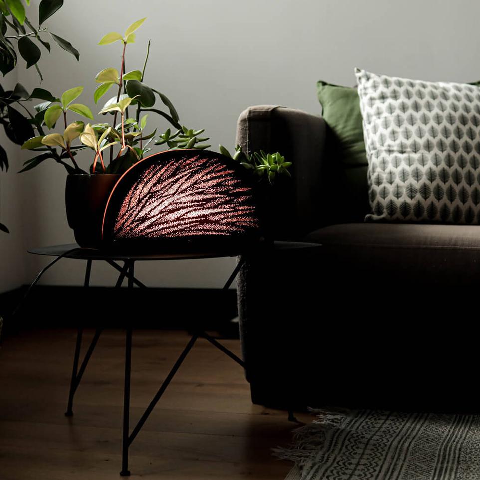 Luminaire Nocturne Ibride