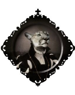 Clarico-Image-Text