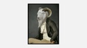Portraits collector Rodolphe