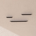 The Horace Path Shelves