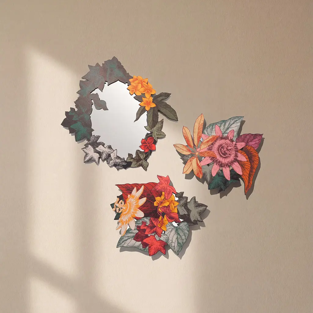 Boucan Mirror and Coat Hook