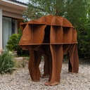 Junior Corten